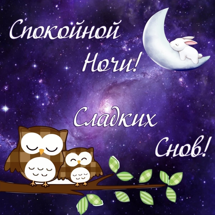 Песня любовь и сон