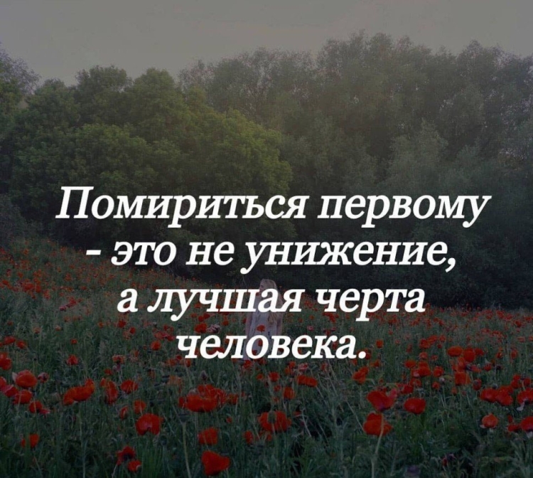 Фразы для примирения