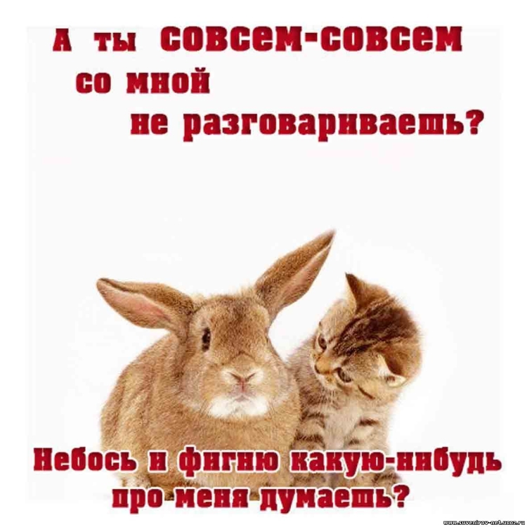 Давай помиримся