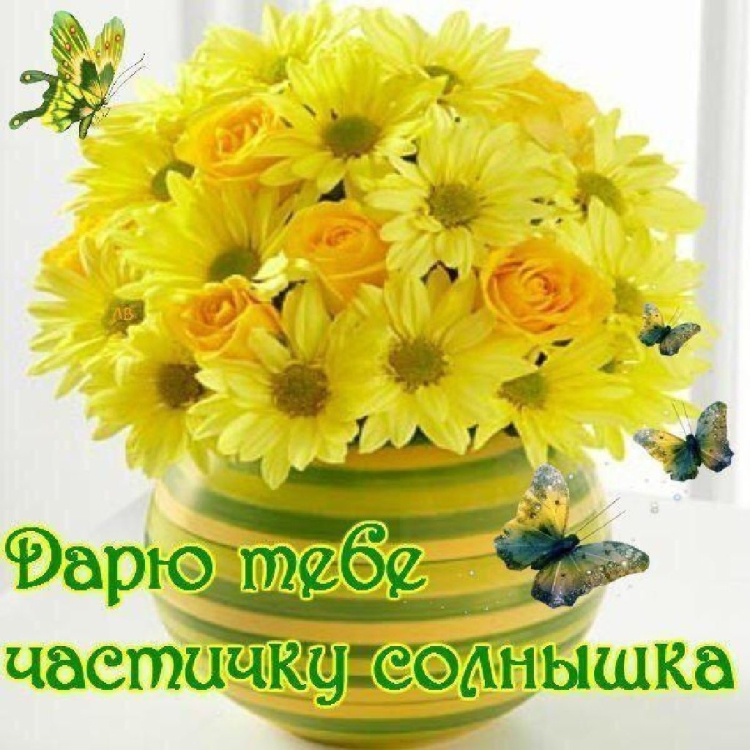 Душевного тепла и солнечного настроения