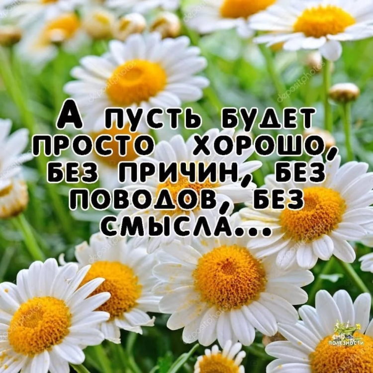 Позитивные пожелания на каждый