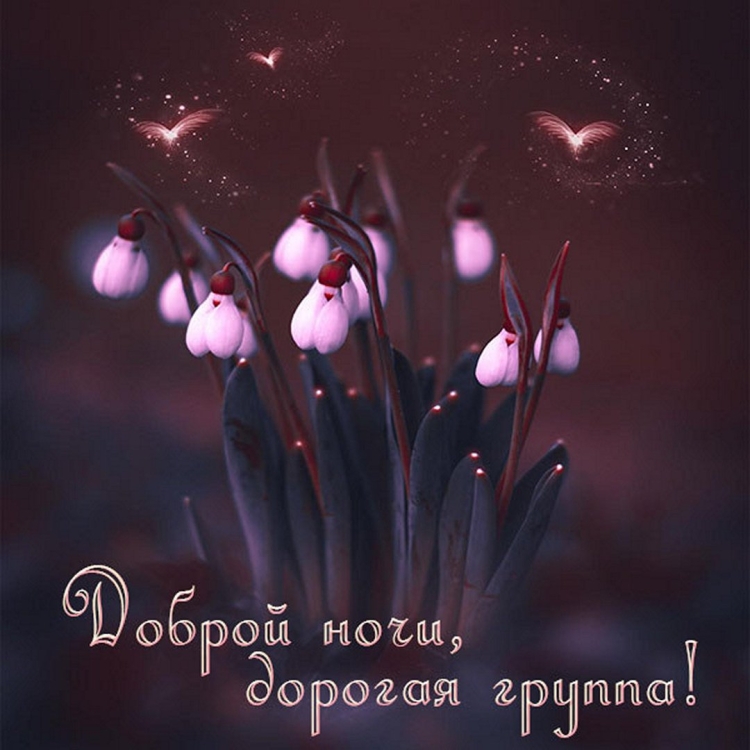 Приятного вечера хорошего вечера
