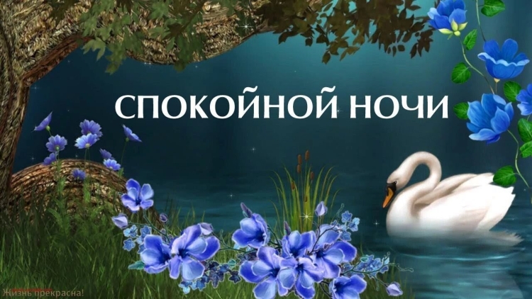 Высказывания о маме