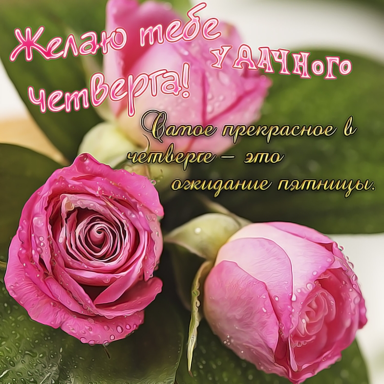Открытки на каждый день