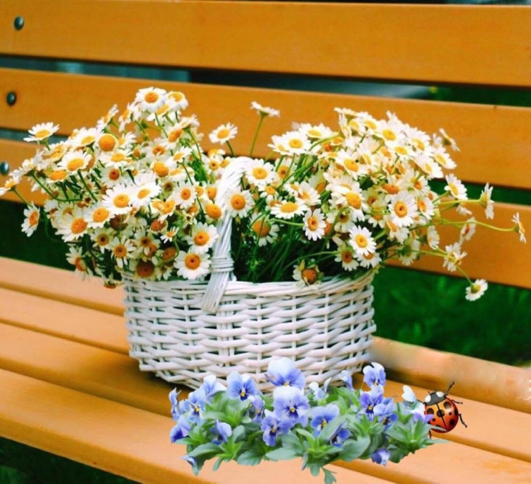 Отличного настроения и счастья