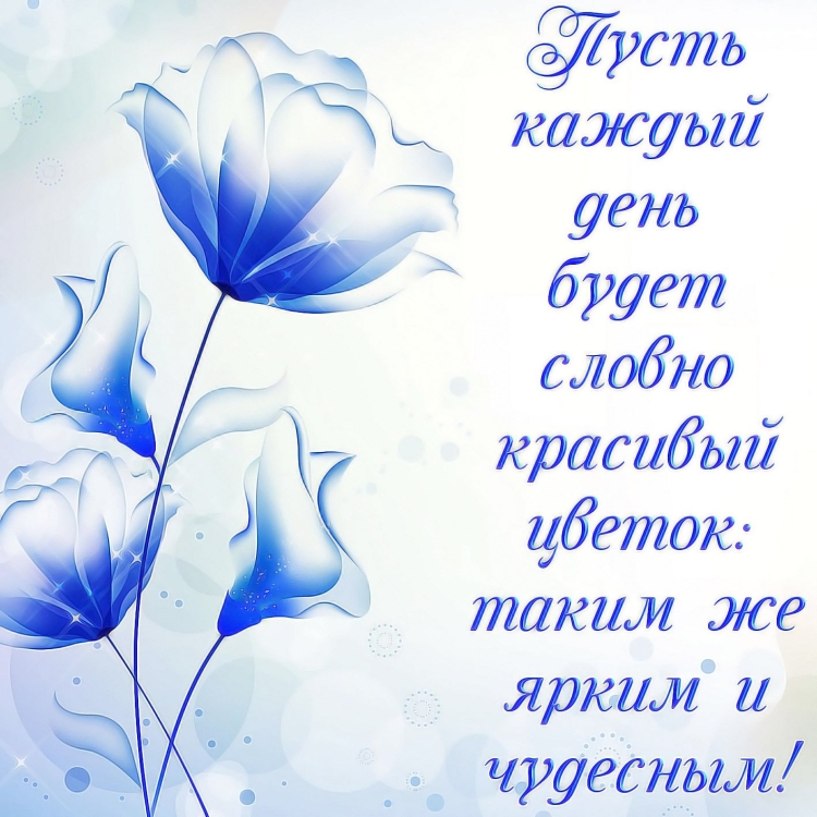 Открытки на каждый день