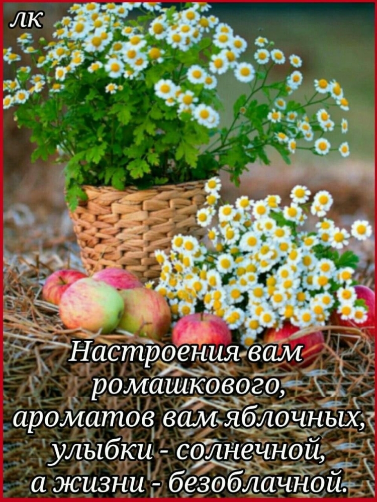 Пожелания доброго утра