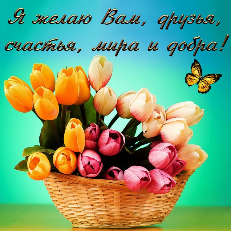 Позитивные пожелания на день