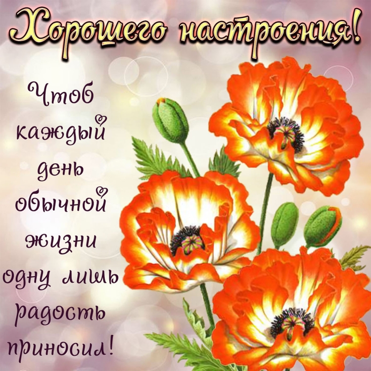 Пожелания от души
