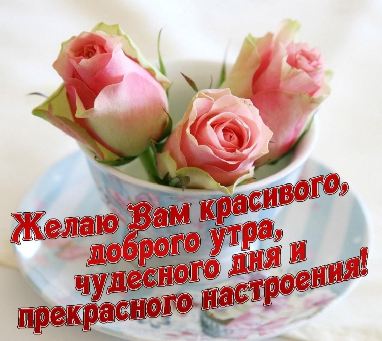 Открытки с пожеланиями на каждый день
