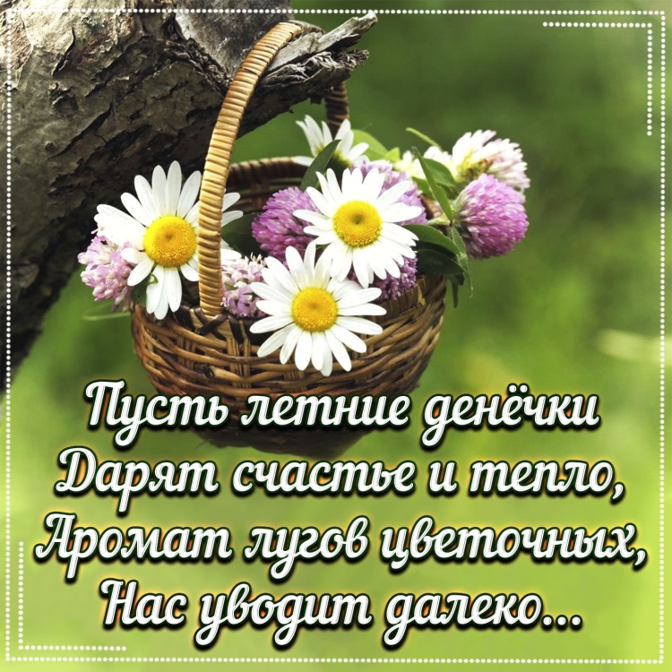 Доброго денечка
