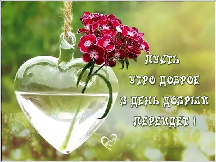 Добрые пожелания