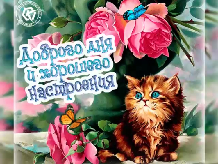 Доброе утро хорошему человеку