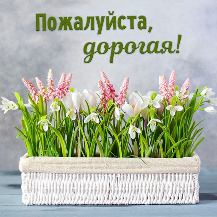 Пожалуйста надпись