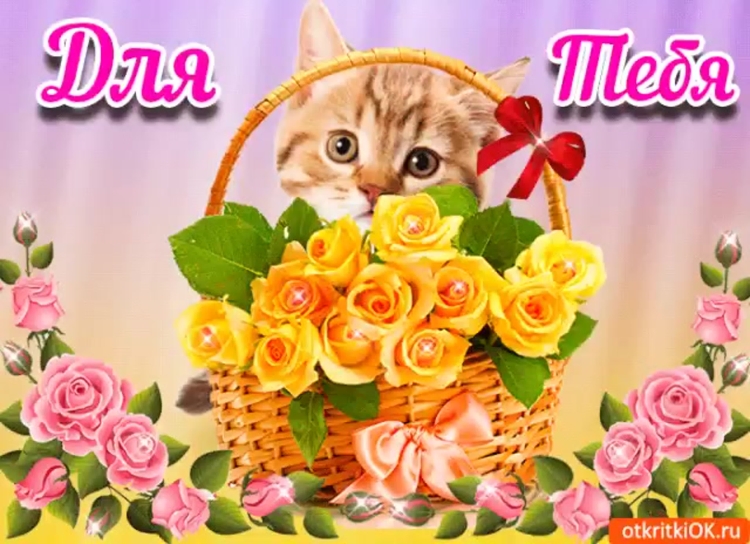 Спасибо за плздравления д