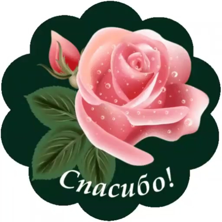 Благодарю за поздравления