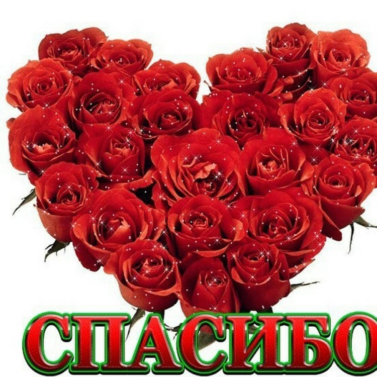 Розочка спасибо