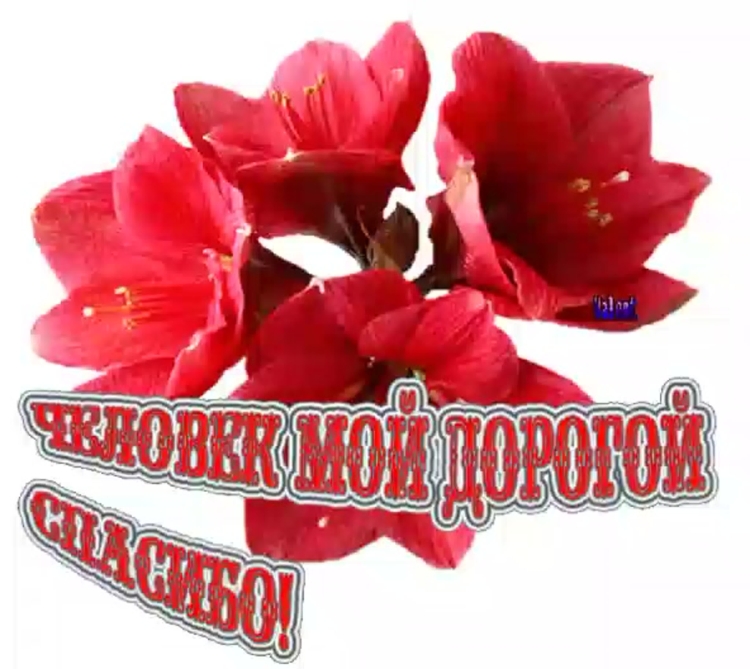 Открытки с благодарностью