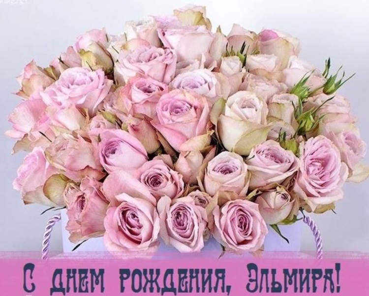 С днём рождения желаю всего самого наилучшего