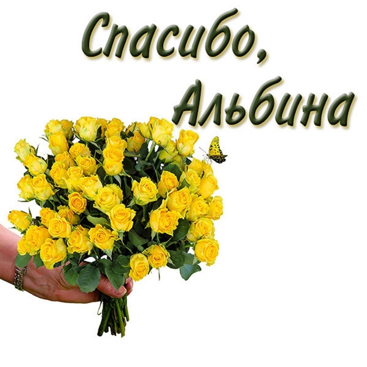 С днём рождения Антонина