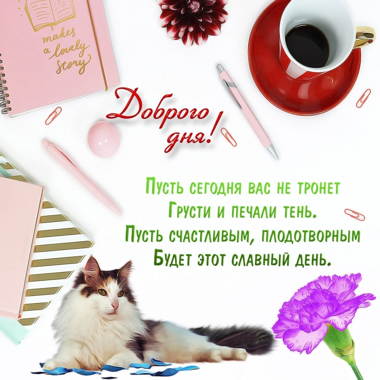 Хорошего дня любимому мужчине