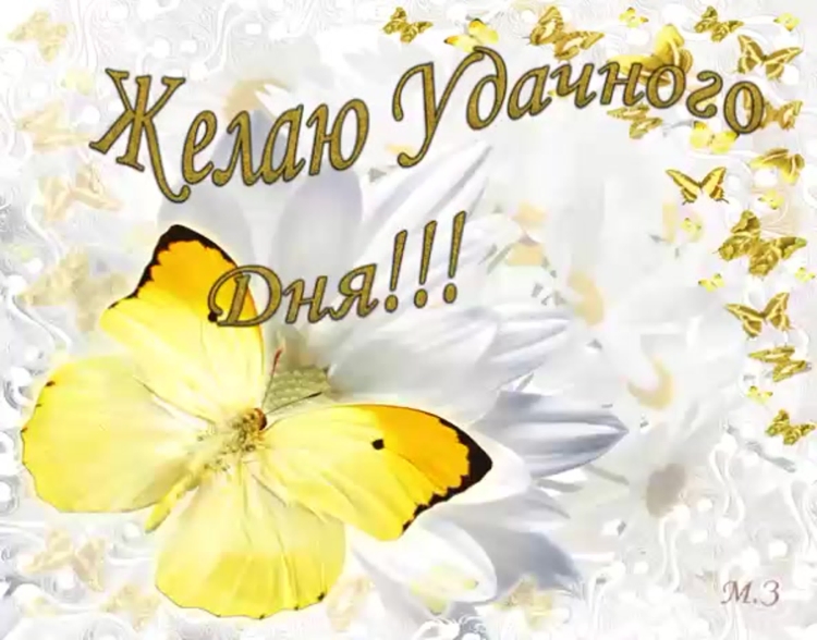 Хорошего дня с пожеланиями стильные