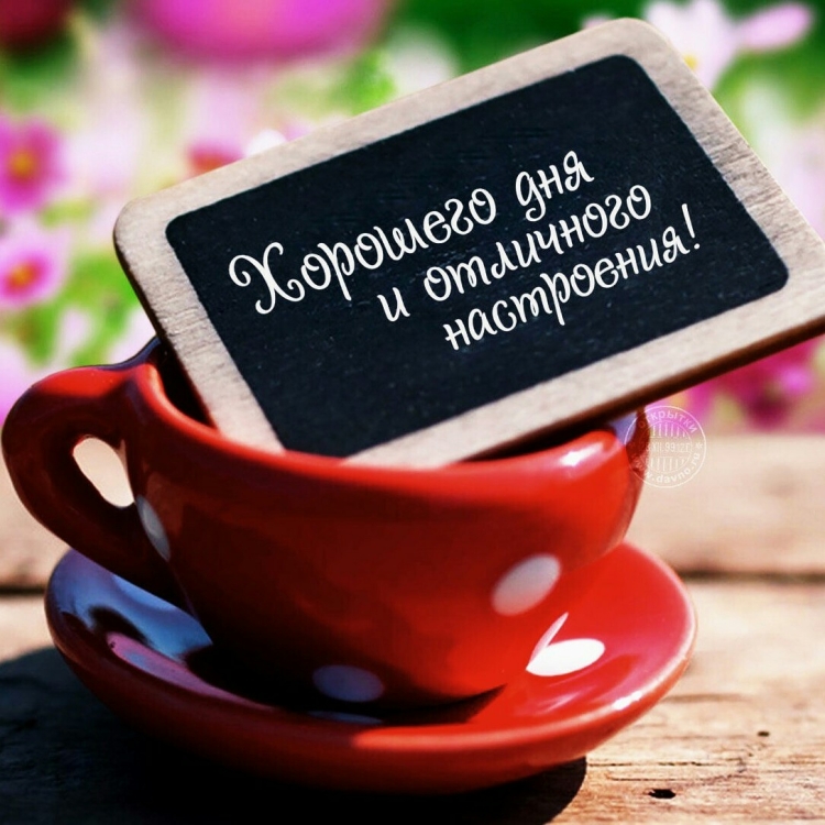 Доброе утро стильные