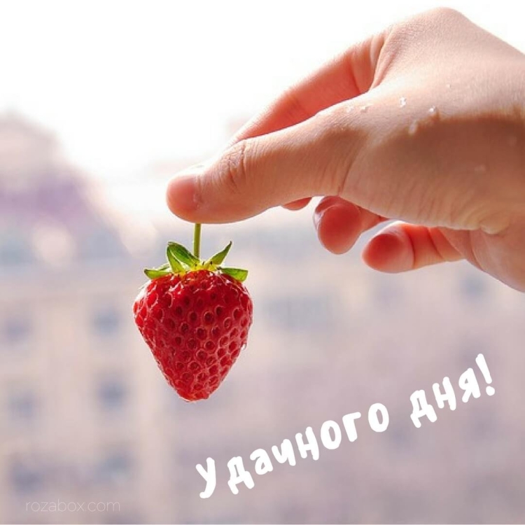 Доброе утро субботы