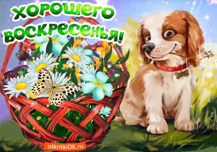 Пожелания хороших выходных
