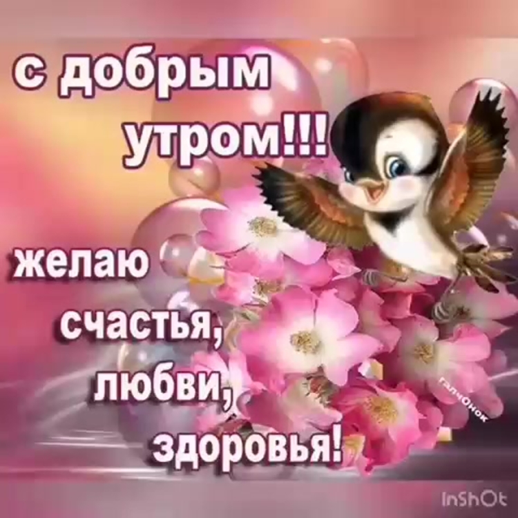 Солнечного настроения в Воскресный день