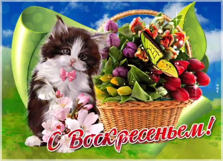 Открытки с воскресеньем