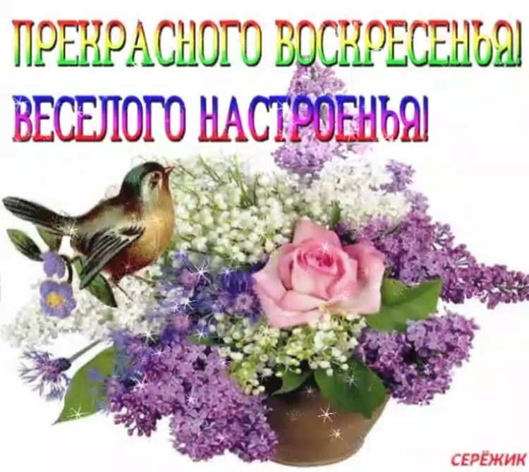 Воскресенье день чудесный