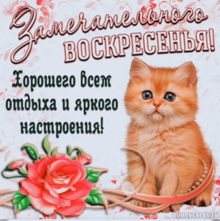 Душевного настроения и прекрасного дня