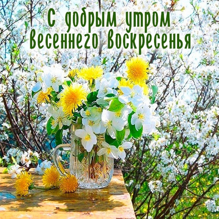 Доброго денечка