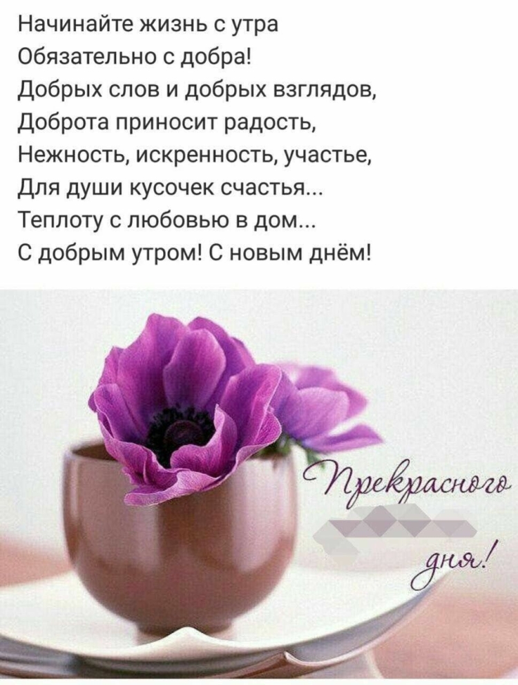 Красивые афоризмы с добрым утром