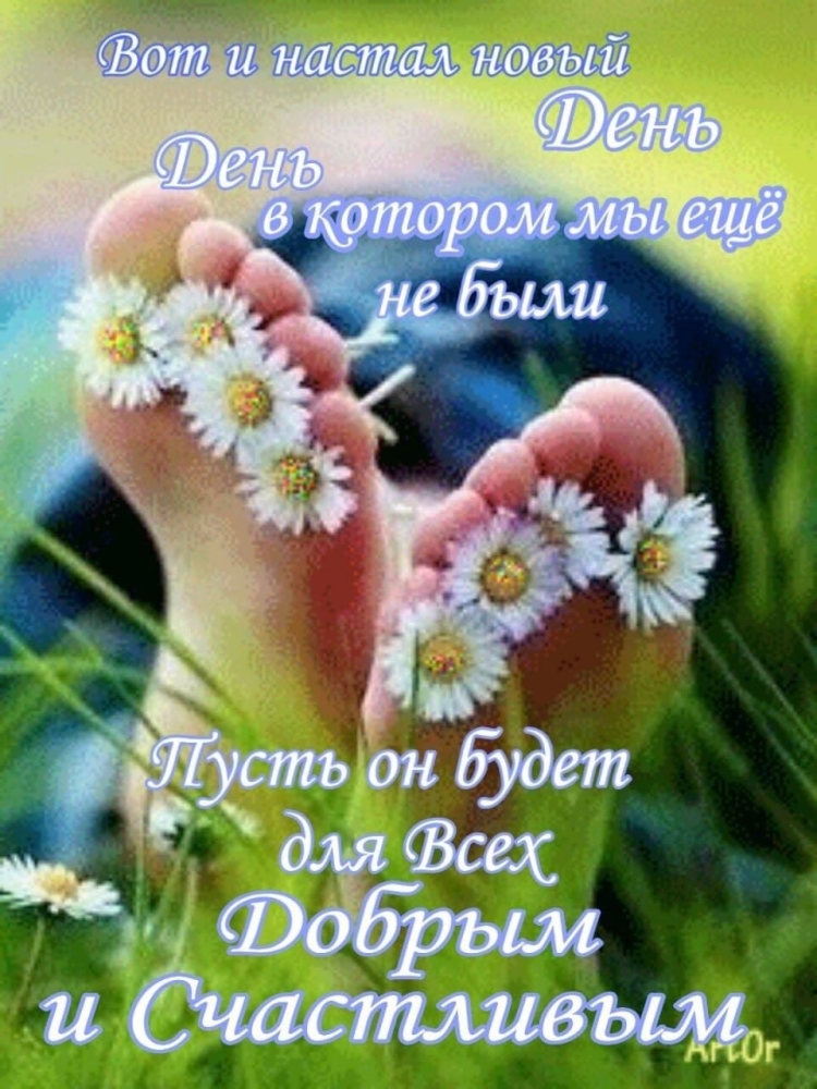 Радость жизни цитаты