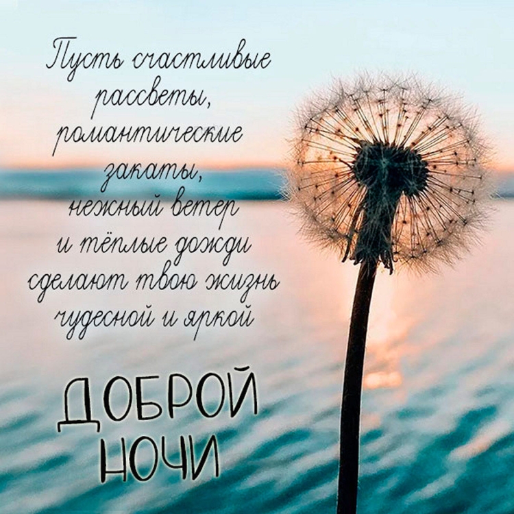 Картинки про счастье с надписями