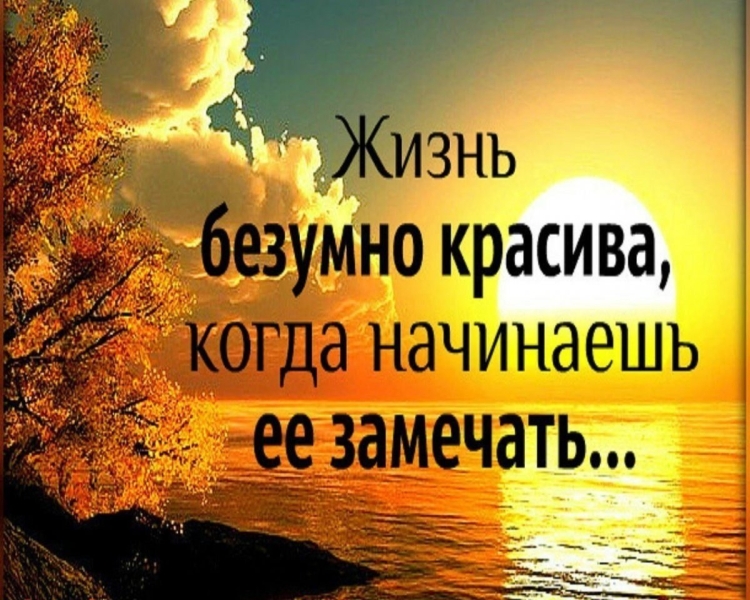 Красивые афоризмы