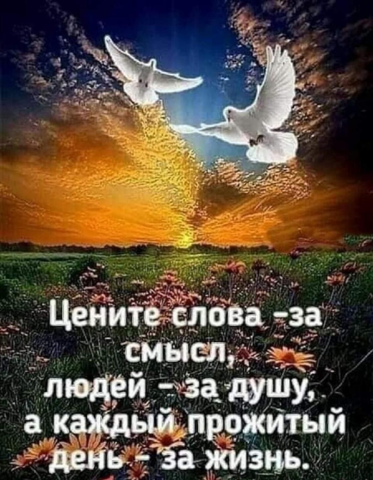 Доброе утро цитаты