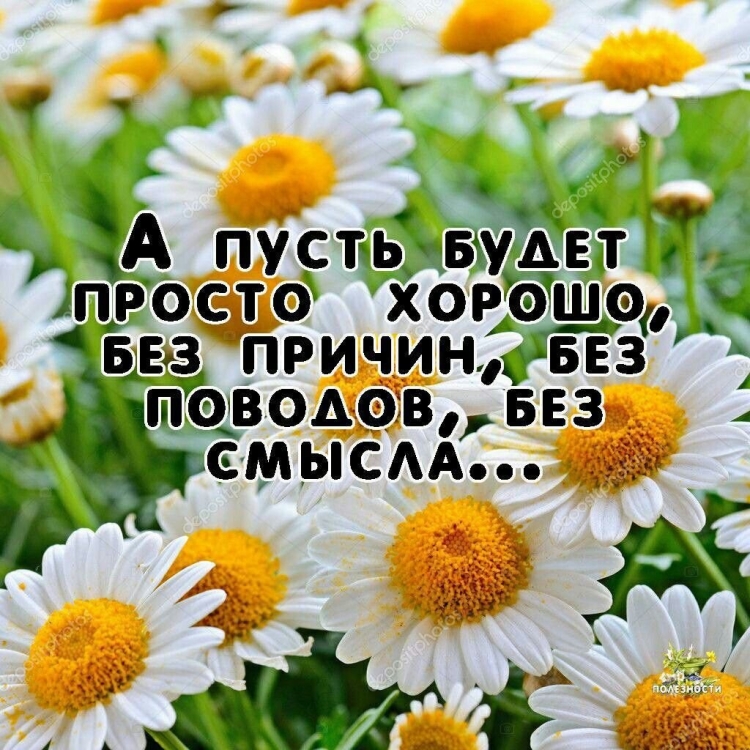 Оригинальные пожелания с добрым утром