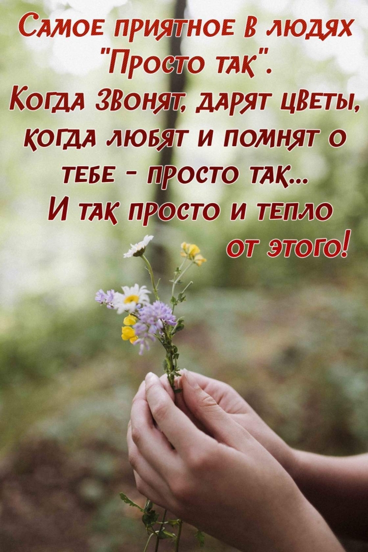 Добрые пожелания на каждый день