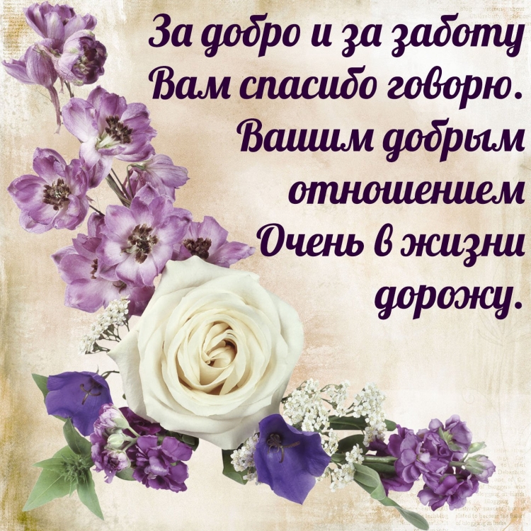 Открытки со смыслом
