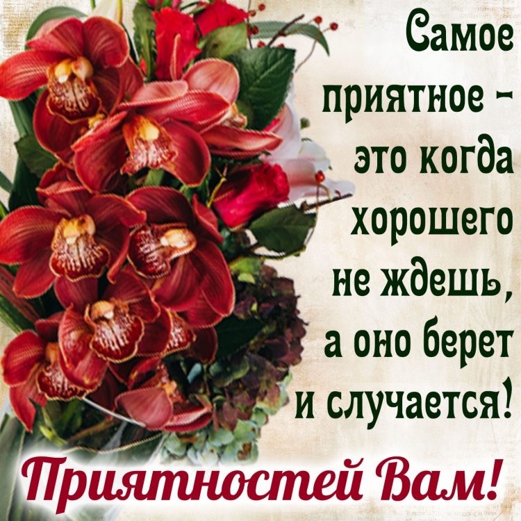 Пожелания на каждый день