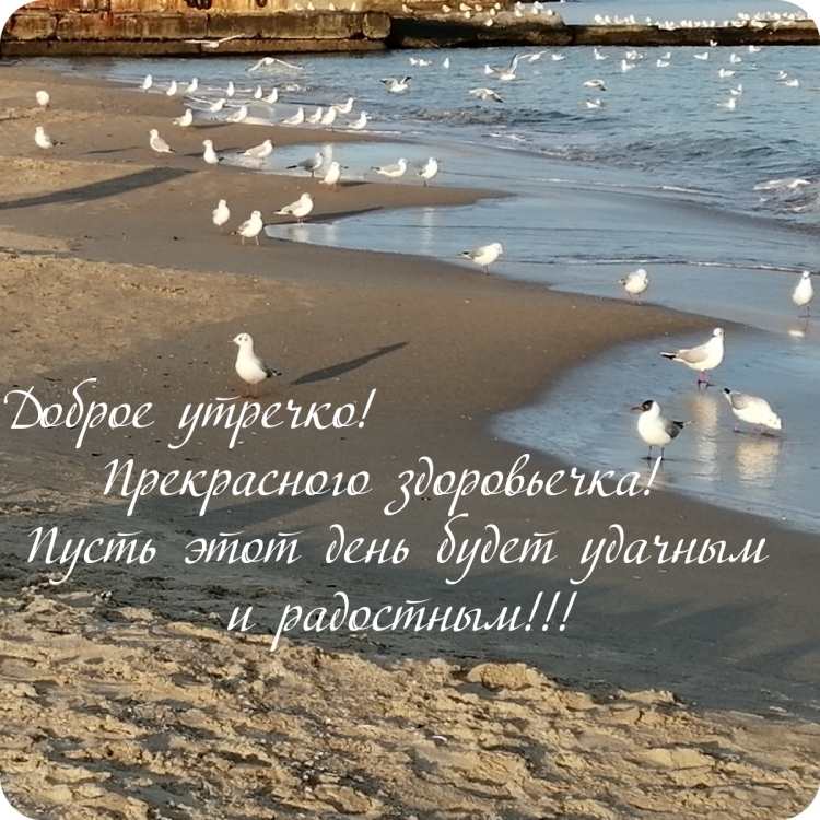 Доброе утро цитаты