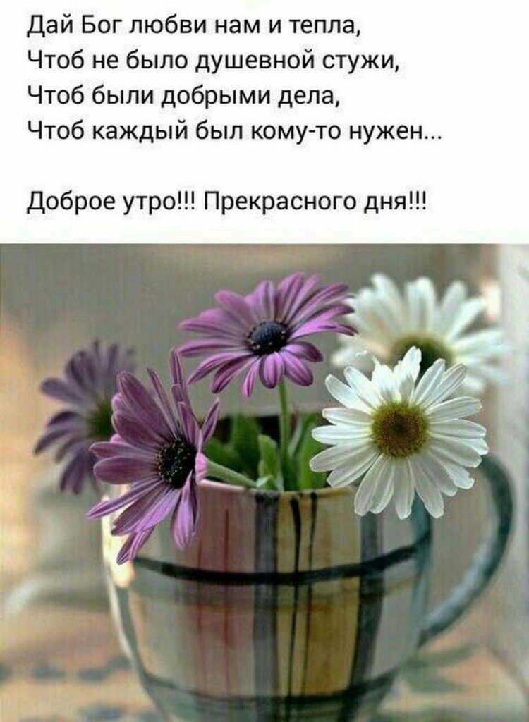 Радость жизни цитаты