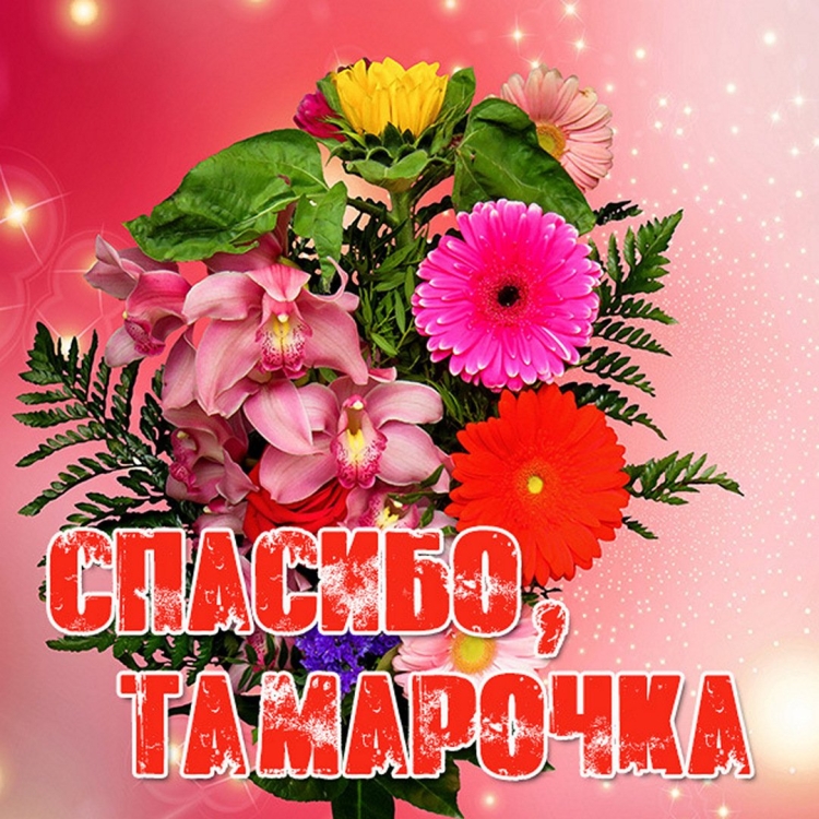 С днём рождения Виктория