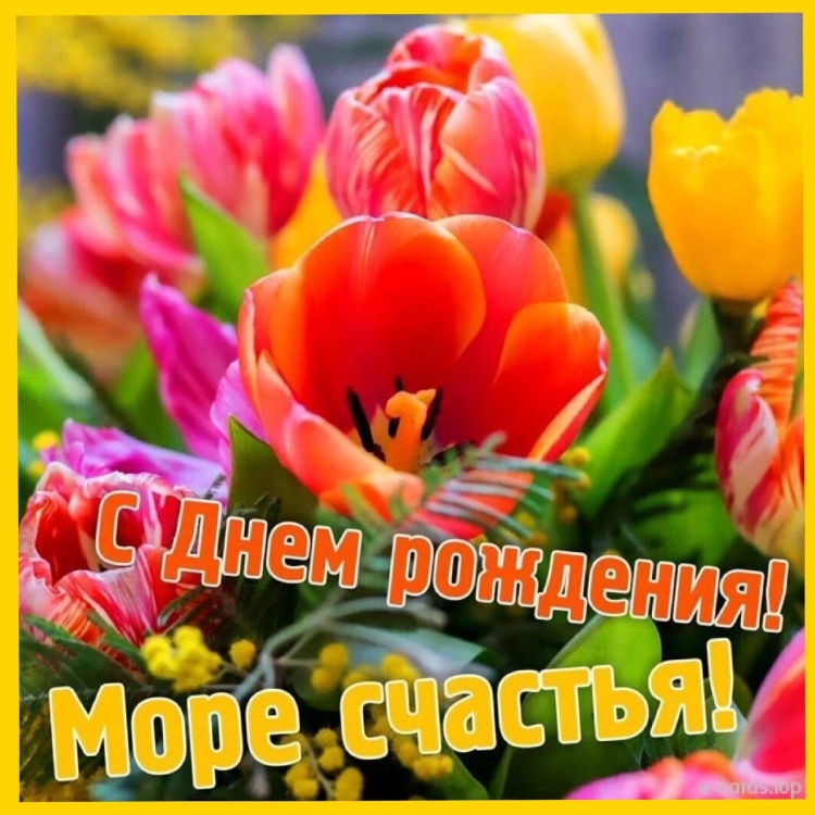 Тома с днем рождения