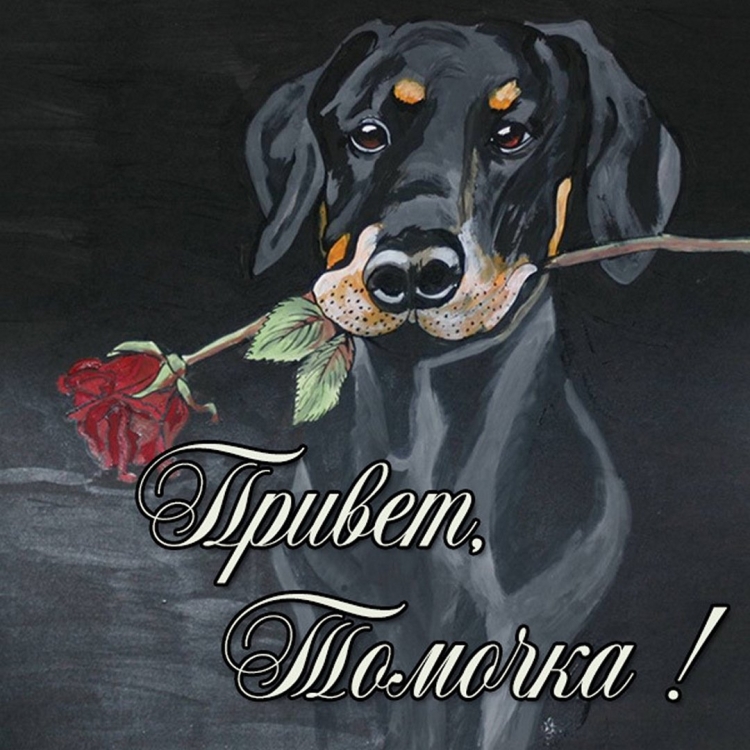 Поздравления с днём рождения Тамаре