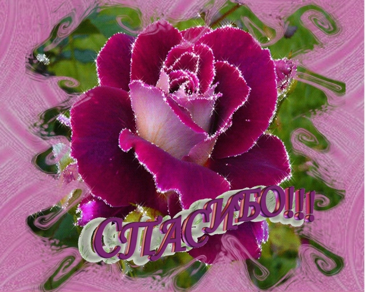 Открытки с днём рождения женщине