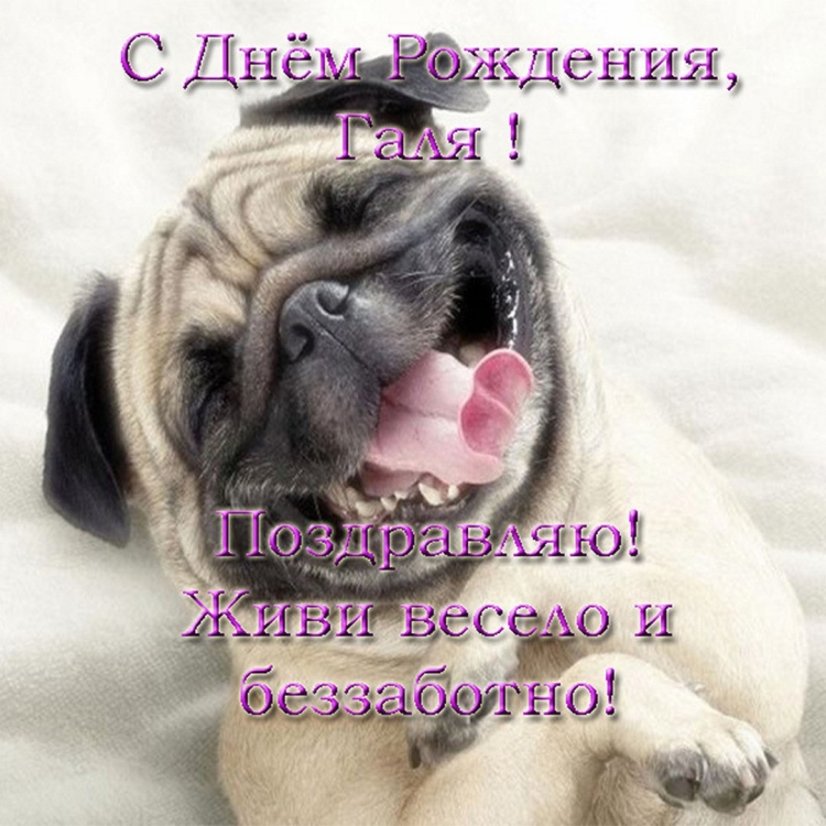 Поздравление с днем рождения для Гали